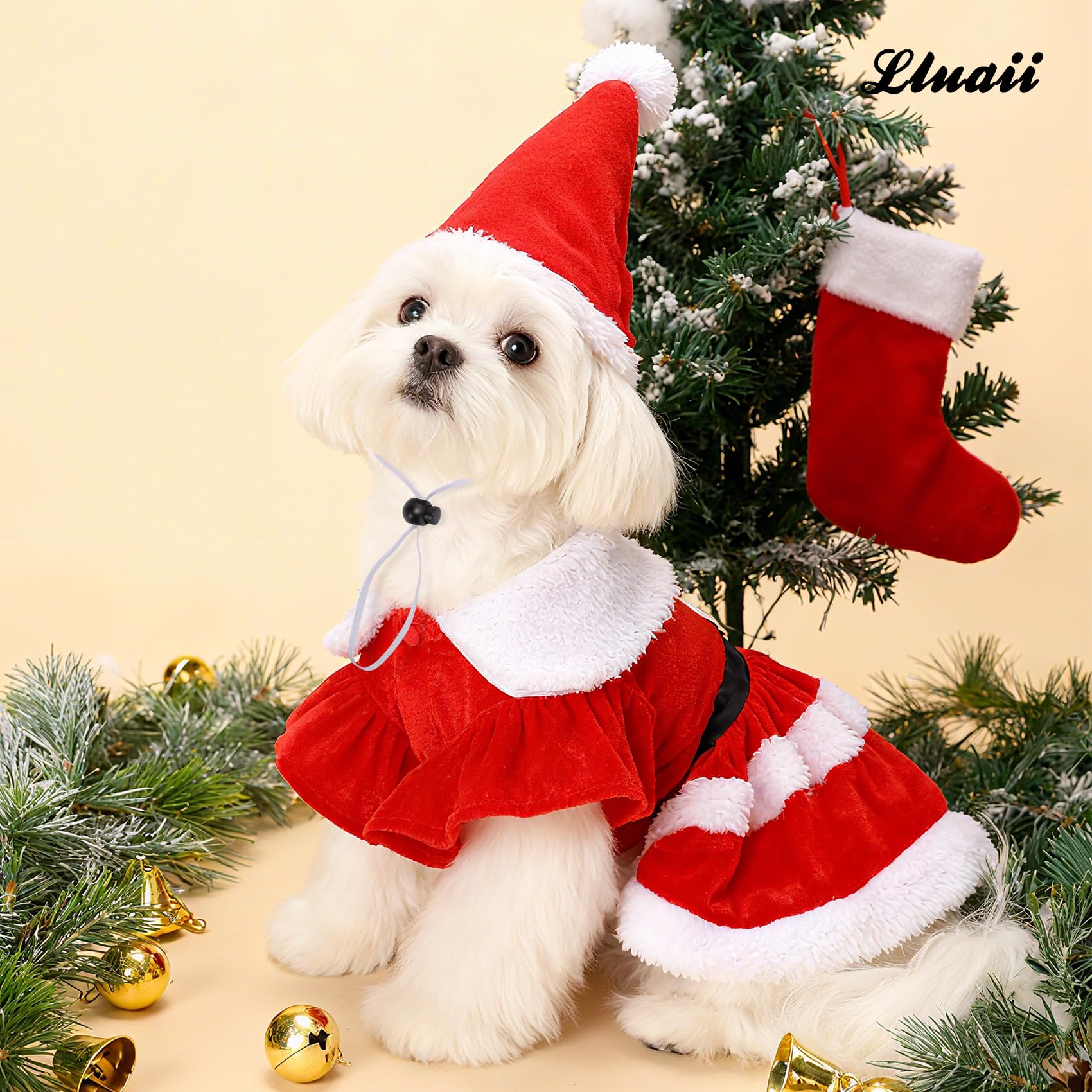 LLUAII holiday scene with pet wearing dress for celebrations