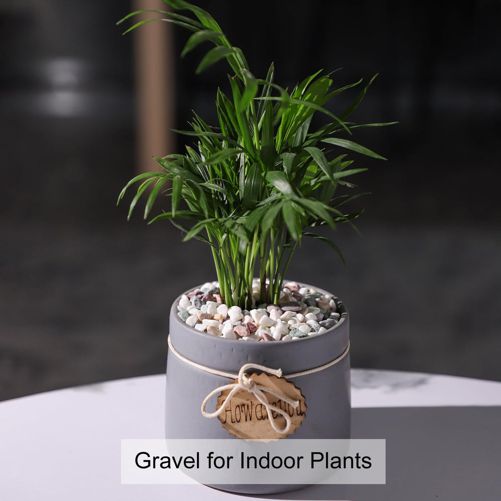 LMtonble river rocks bonsai display showcases natural shapes and refined styling.