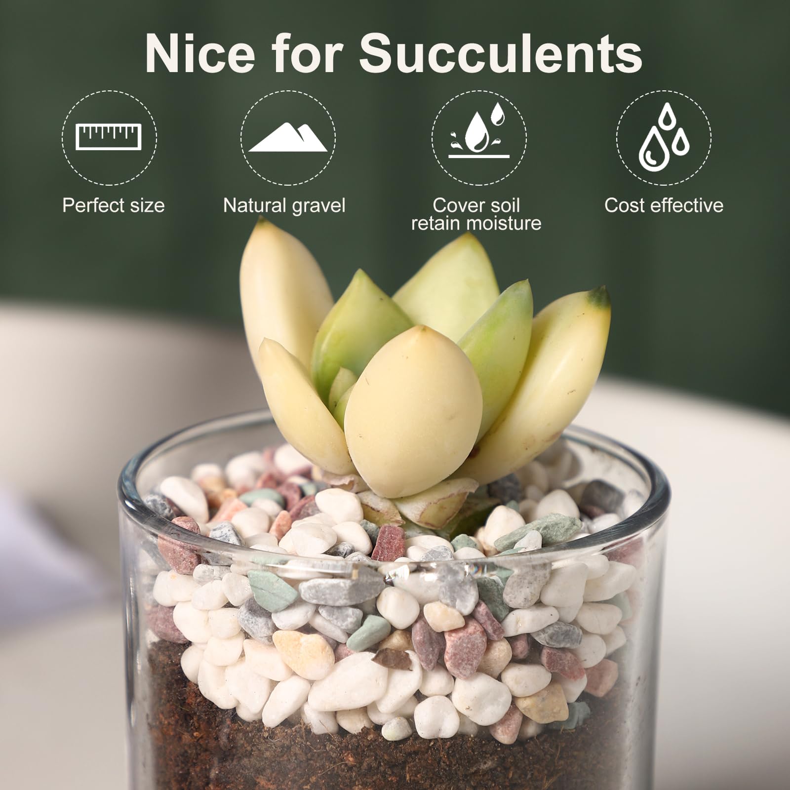 LMtonble river rocks pot and planter decor offers moisture-retentive soil balance visuals.