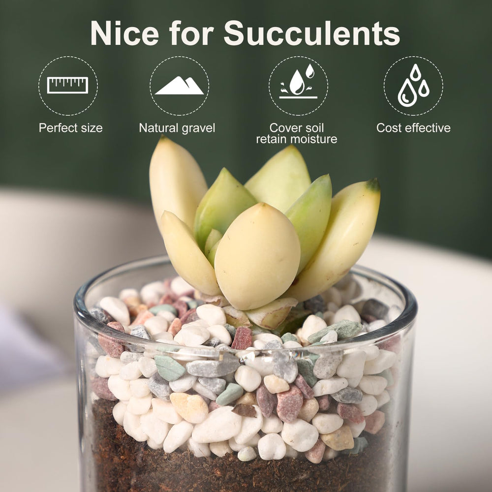 LMtonble river rocks pot and planter decor offers moisture-retentive soil balance visuals.