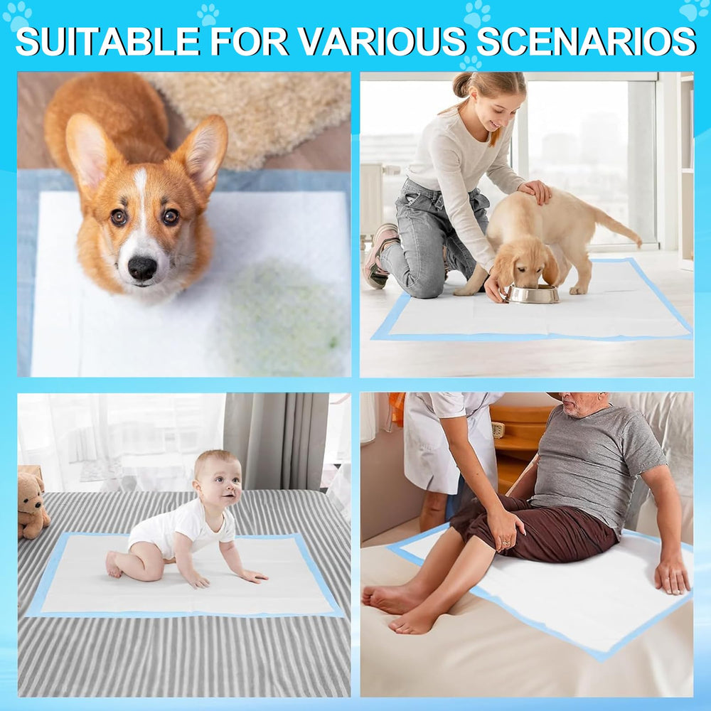 LNWJSRX extra-thick design supports puppies and senior dogs during use.