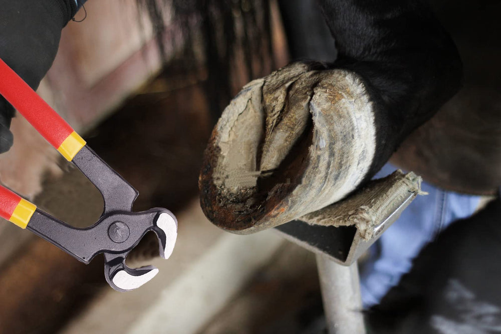 Loaged gloves and storage bag emphasize comfort and safe transport of tools.