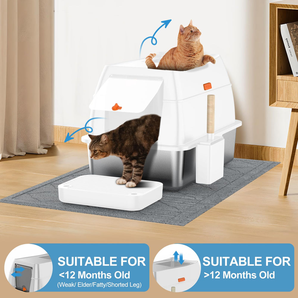 Lobeve cat litter mat image demonstrates protective mat for cleaner floors