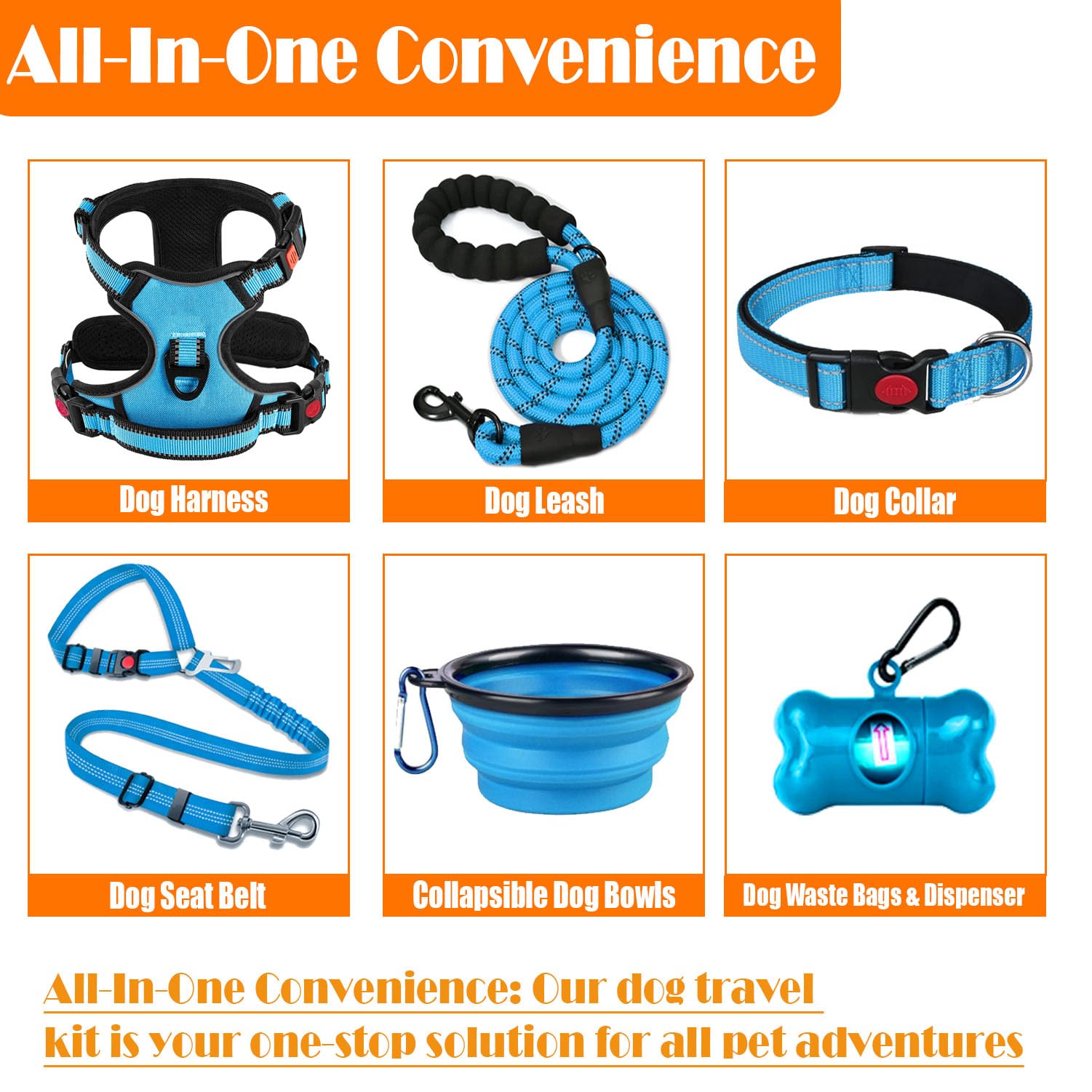 Lobeve collar and leash blue set on dog for everyday training and control