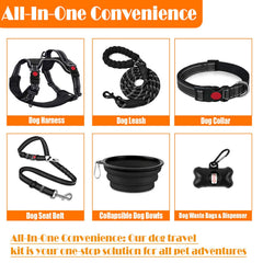 Lobeve Collar and Leash Set shown in color option for stylish, functional walking.