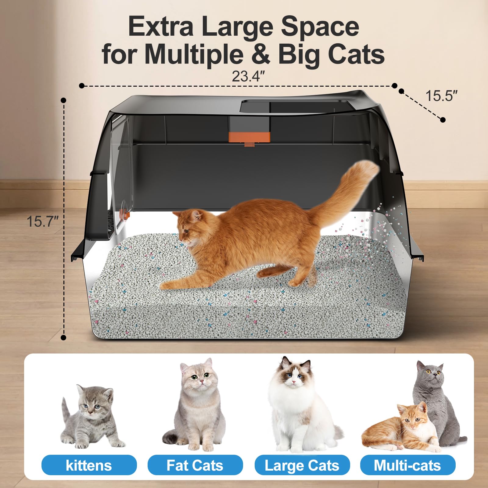 Lobeve front-entry top-exit design illustrating dual-entry versatility for cats.