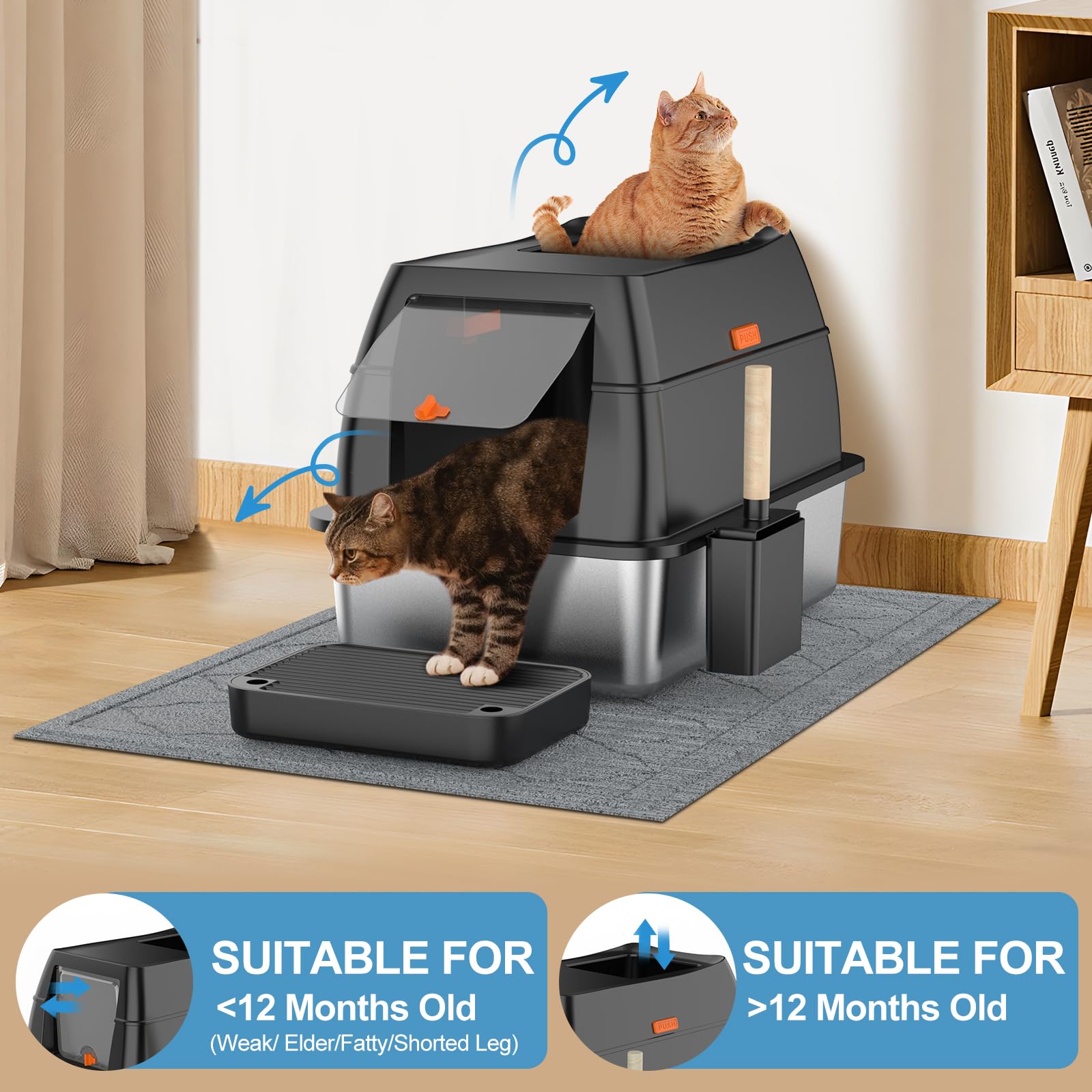 Lobeve large-capacity litter box provides ample space for bigger cats.