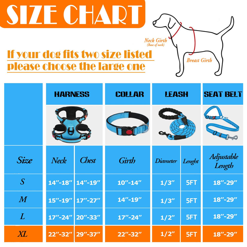 Lobeve collapsible bowl in use for convenient pet hydration on outdoor trips