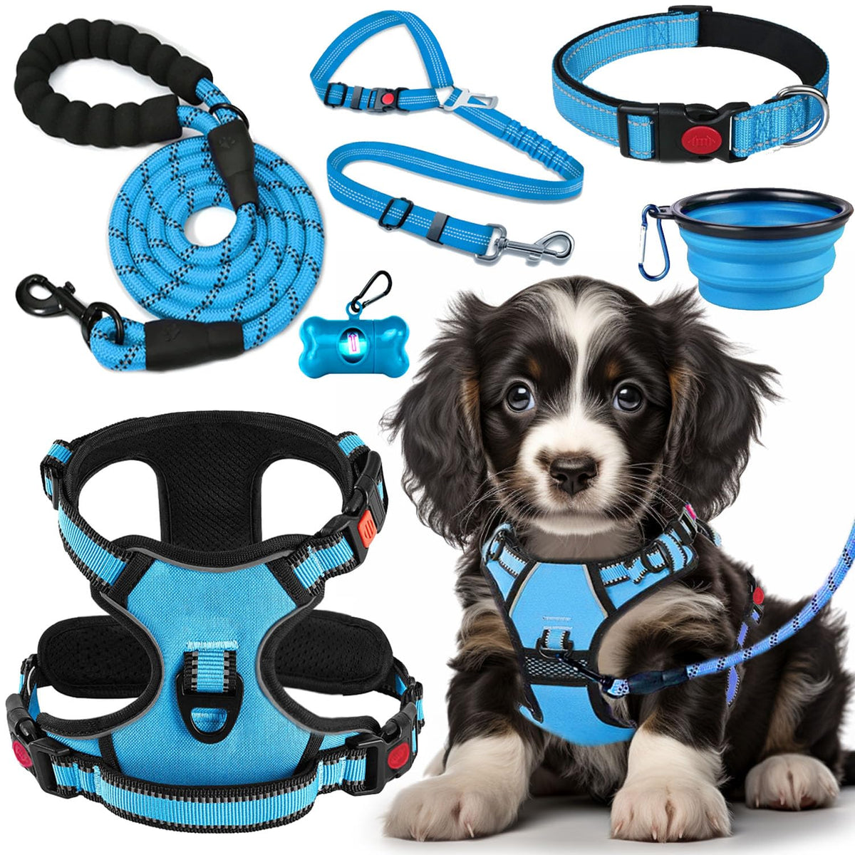 Lobeve No-Pull Harness blue front view demonstrates comfortable, safe walking