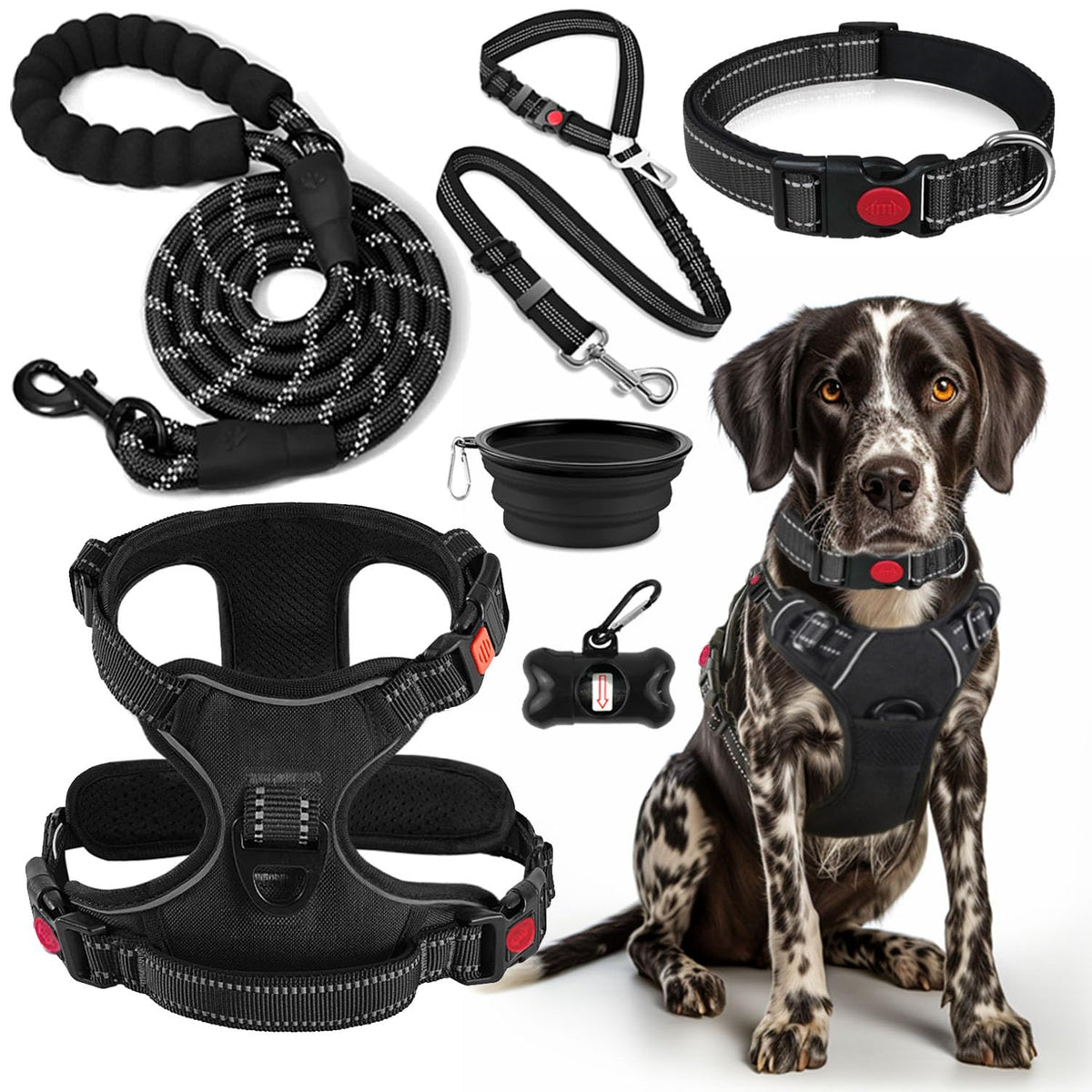 Lobeve No-Pull Harness kit front view for comfortable, controlled training