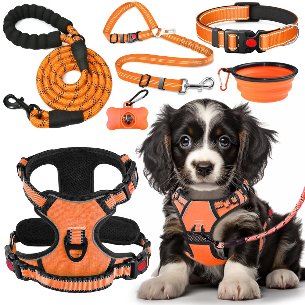 Lobeve no-pull harness orange for comfortable control on daily walks