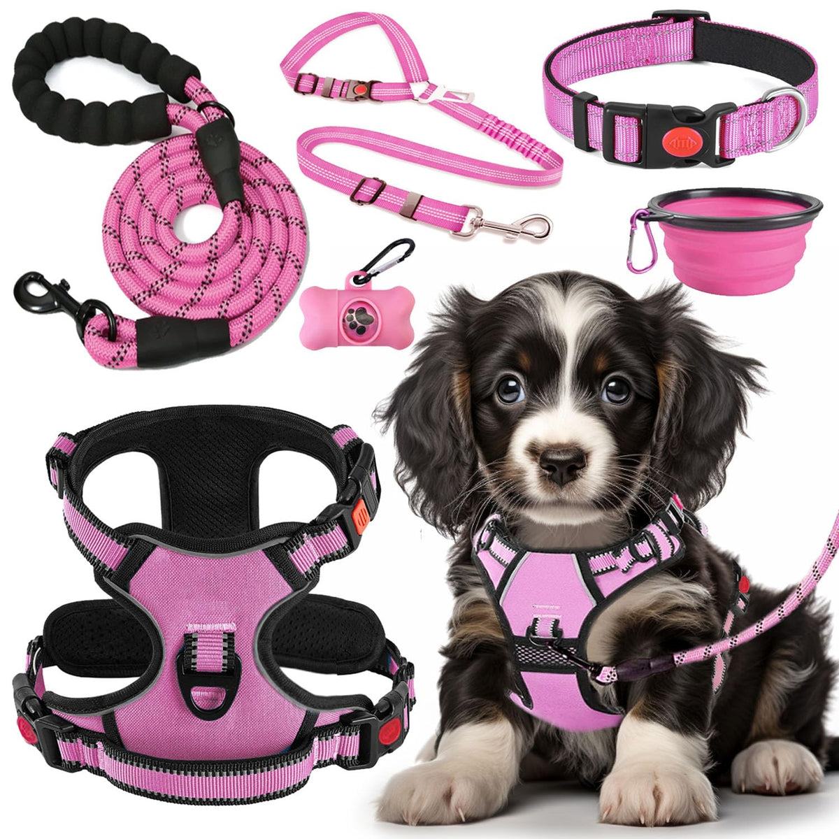 Lobeve No-Pull Harness on dog reduces tugging for smoother walks.