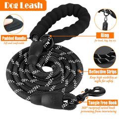 Lobeve portable dog bowl close-up for easy hydration on walks