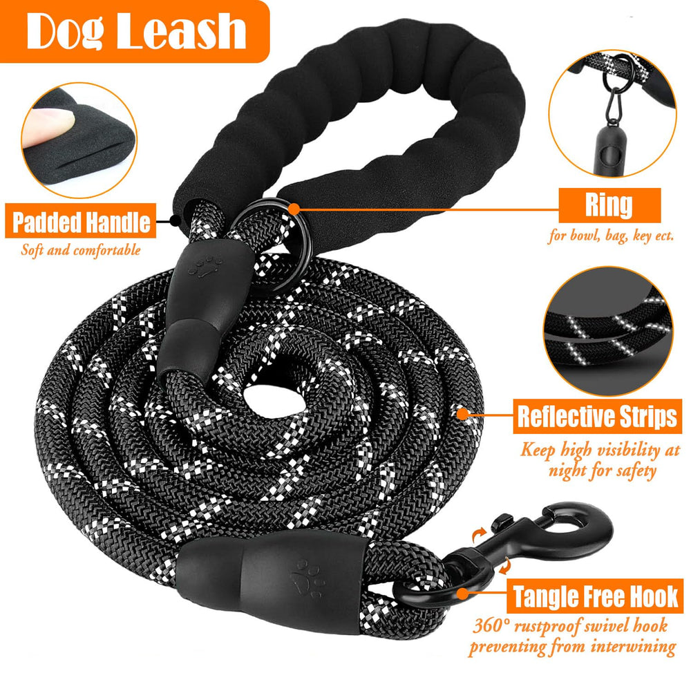 Lobeve Portable Dog Bowl in use on outdoor walk for easy hydration.