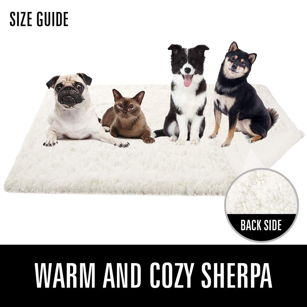 LOCHAS Luxury Fluffy Dog Blanket decor-neutral cream blends with home decor