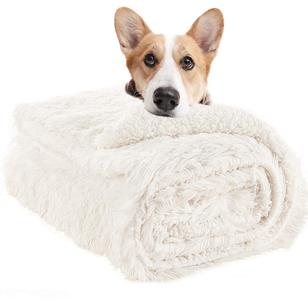 LOCHAS Luxury Fluffy Dog Blanket front view emphasizes plush warmth for cozy naps
