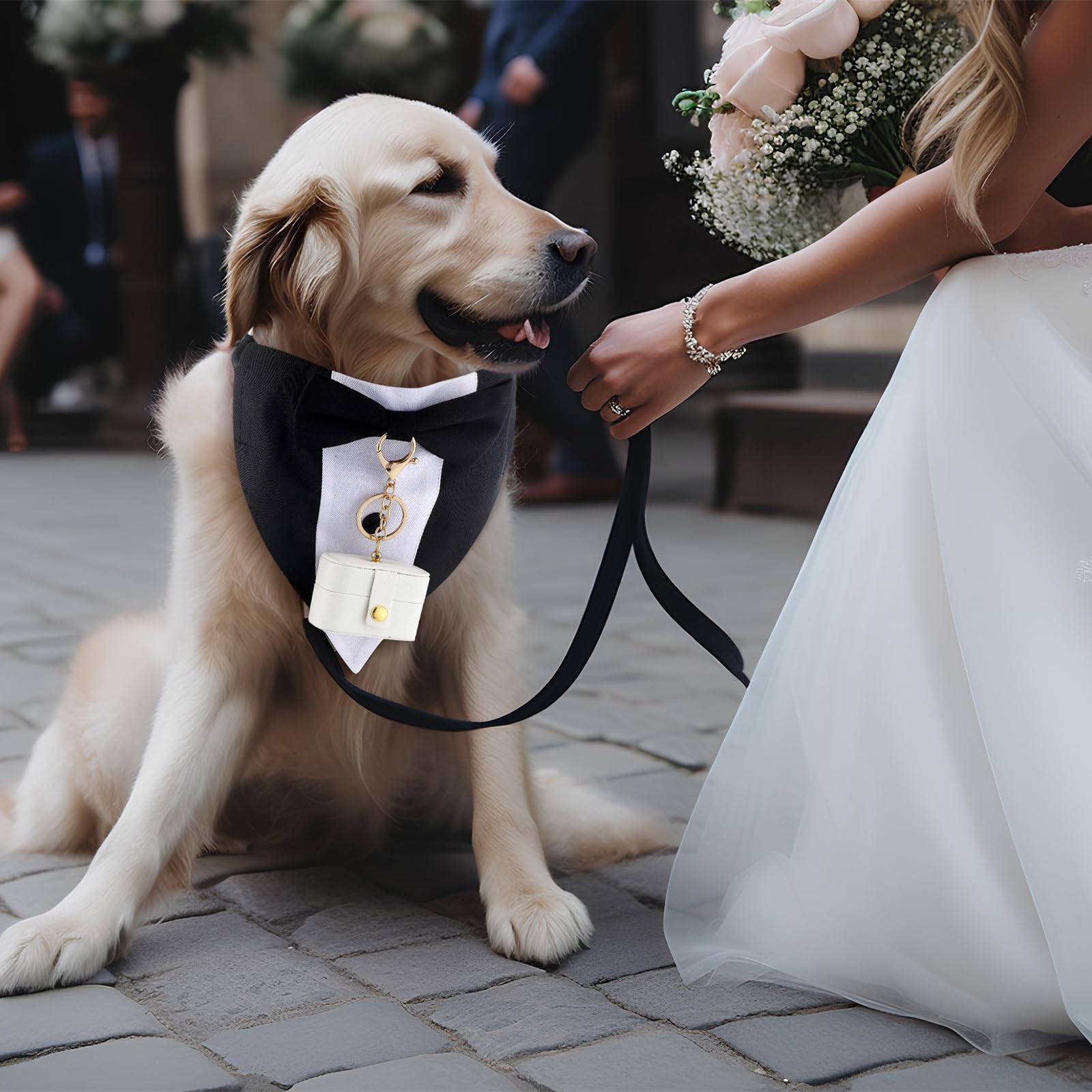 Locmeo adjustable dog collar with bow tie for a cohesive formal look.