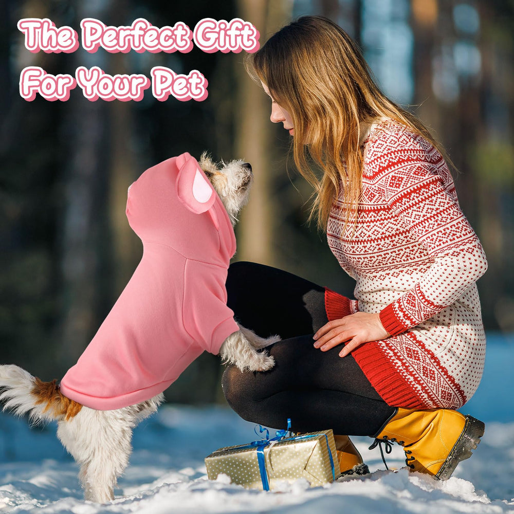 Locmeo dog hoodie model wearing during a walk demonstrates warmth for chilly days.