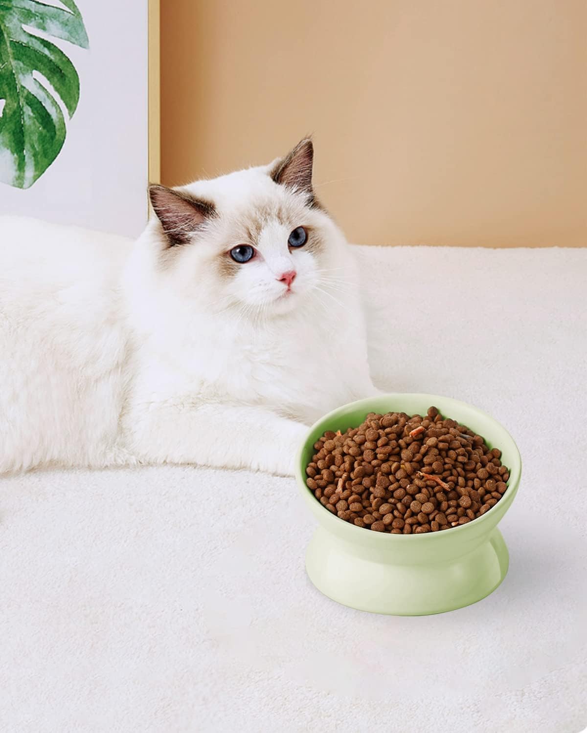 LoeJan green 2-pack for convenient multi-pet households.