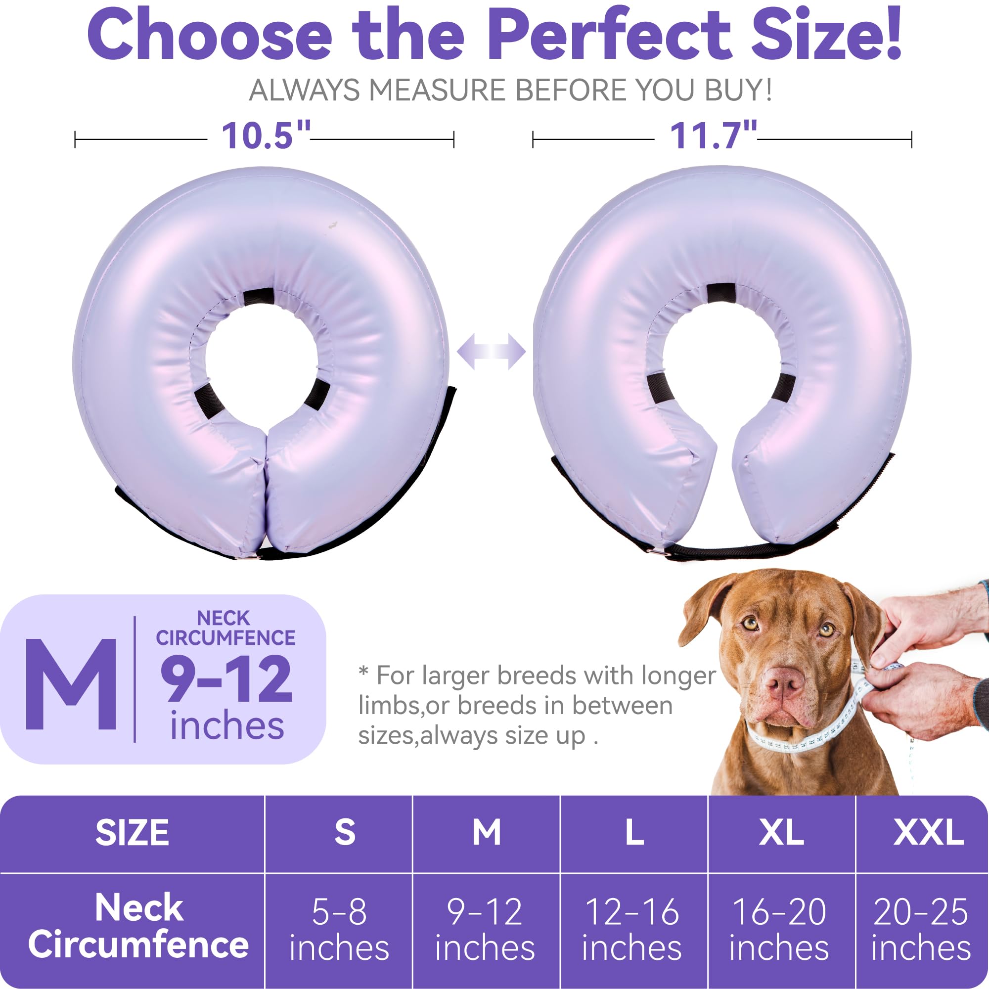 Loesuona donut collar shown with regular collar for enhanced security during wear.