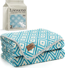 Loesuona washable pee pad 2-pack front view highlights absorbency for potty training