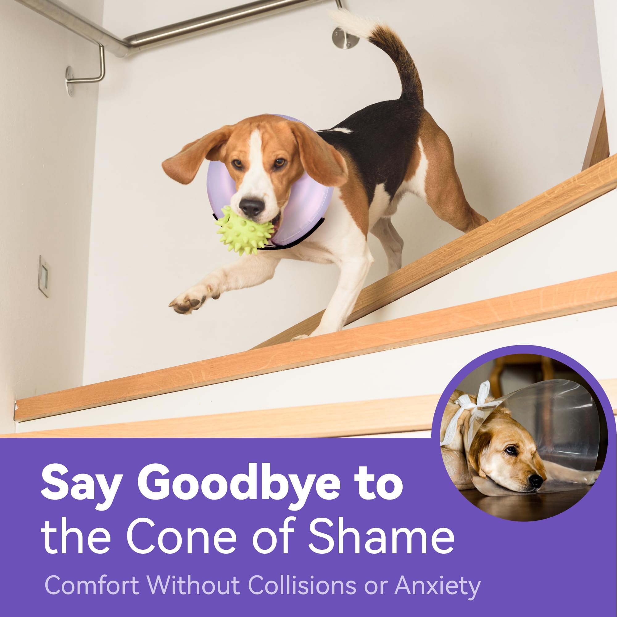 Loesuona donut collar waterproof fabric—wipe-clean for quick, sanitary recovery.