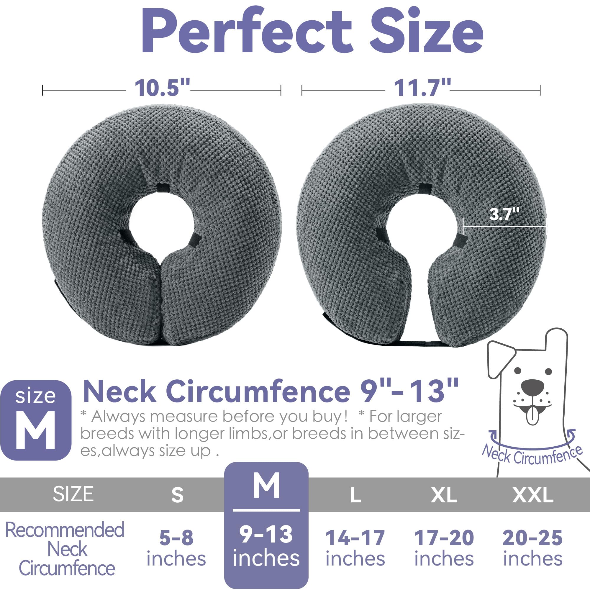 Loflaze collar in use during meals shows unobstructed eating and drinking.