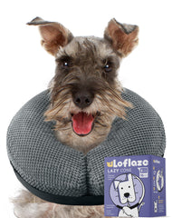 Loflaze donut-neck collar gray setup demonstrates freedom of movement during recovery.