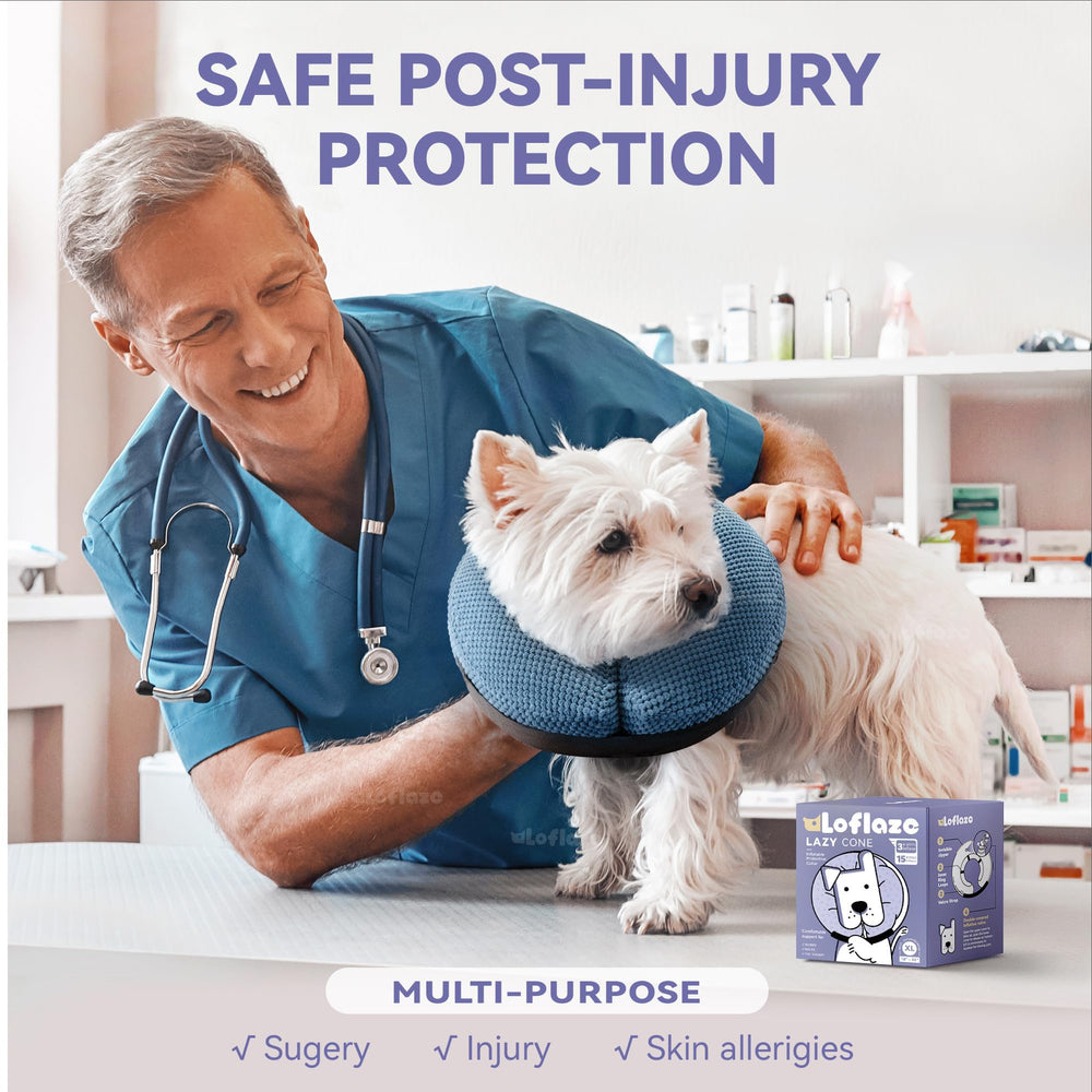 Loflaze inflatable collar blue XL on-dog nose angle supports visibility during recovery