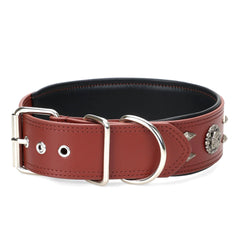 LOIIHEII giant-breed testing shows strong leash-pull support for big dogs.