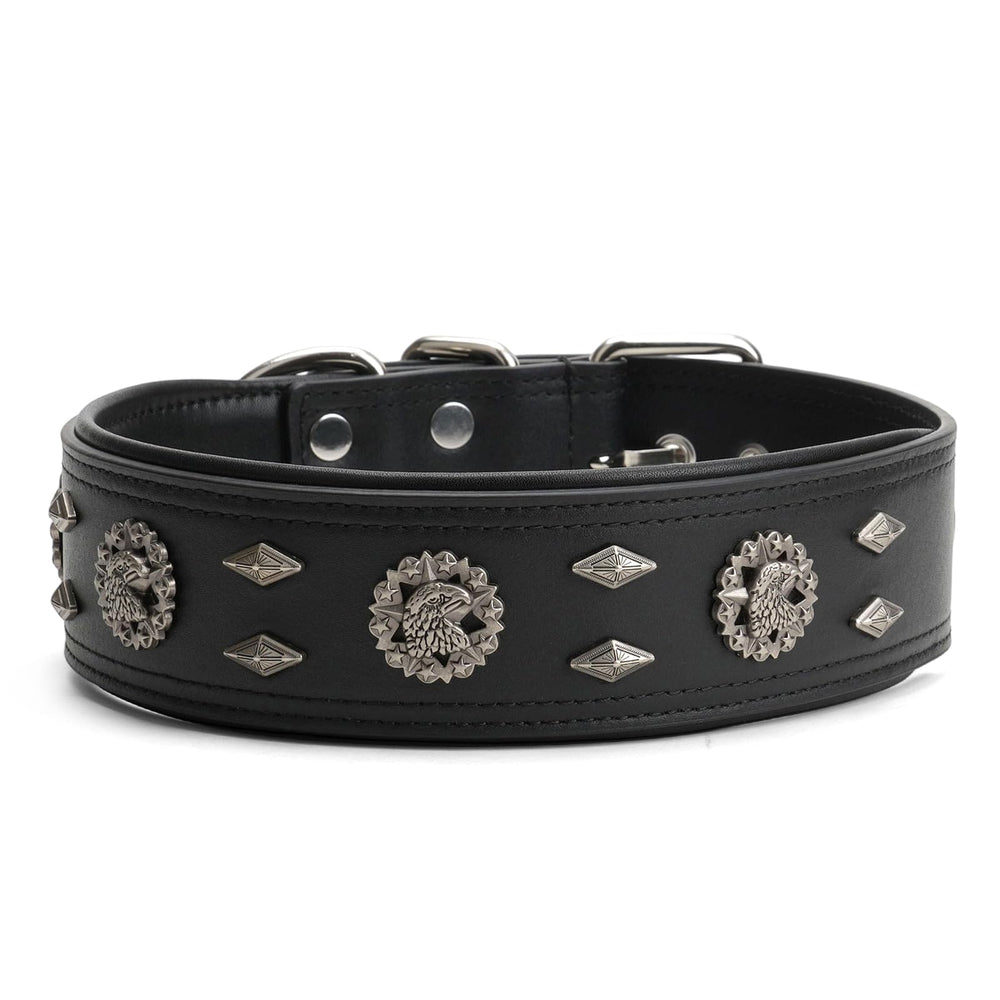 LOIIHEII collar closed buckle for reliable leash attachment.