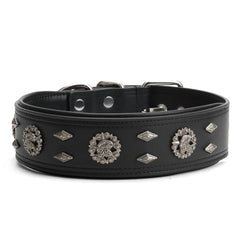 LOIIHEII collar closed buckle for reliable leash attachment.
