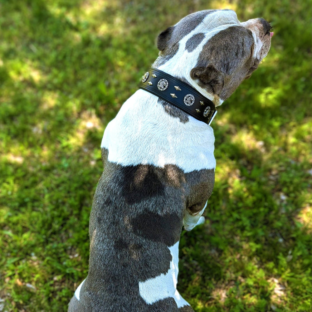 LOIIHEII leather collar side adjustment for secure fit.