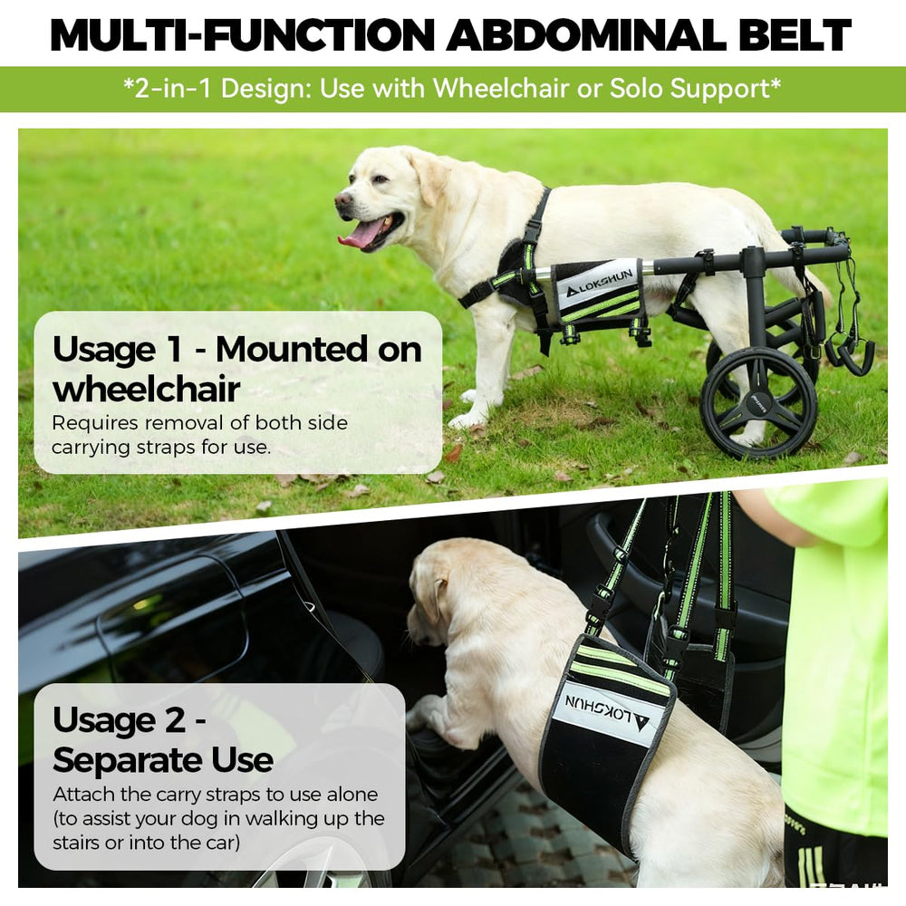 Lokshun 5ft reflective leash enhances nighttime safety
