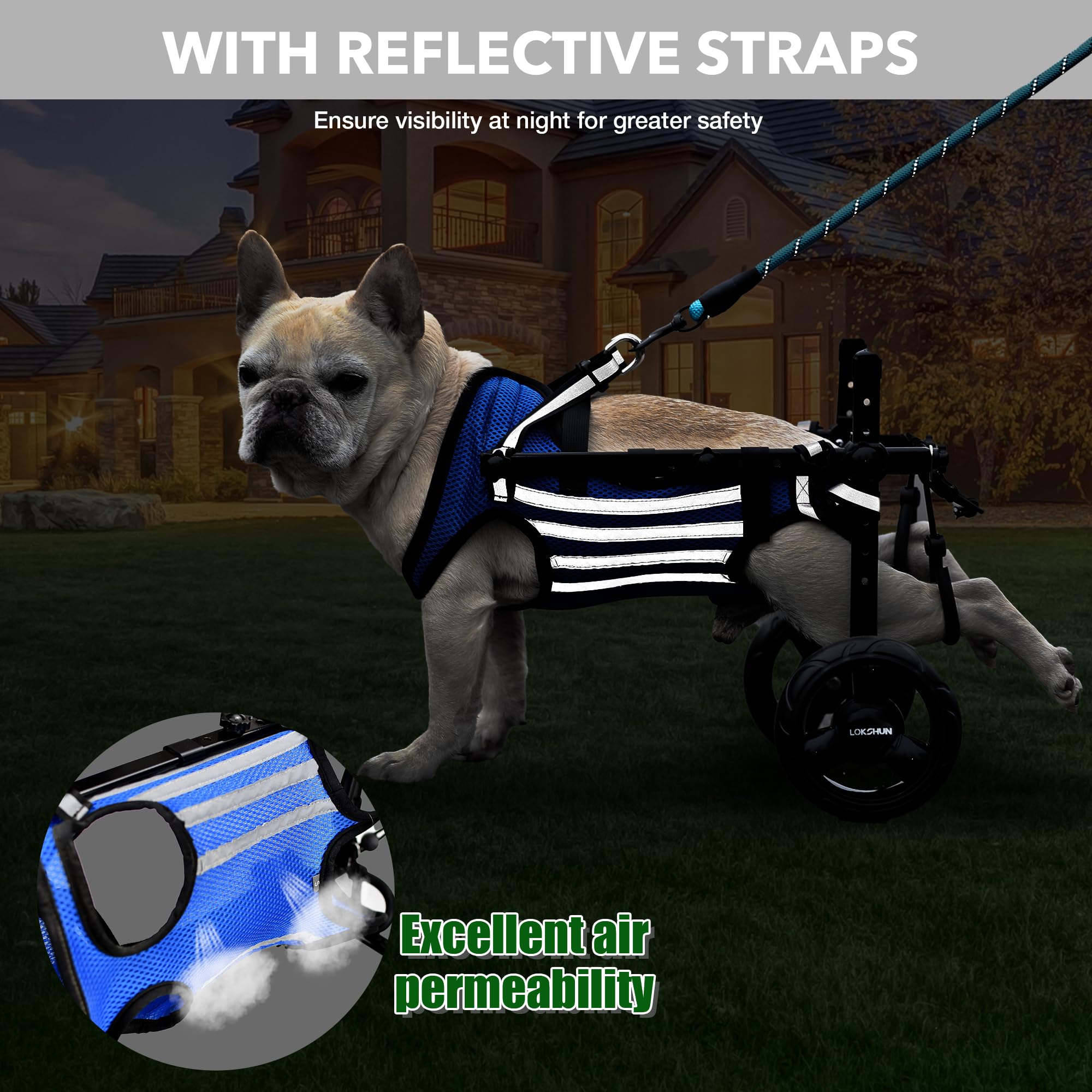 Lokshun five-foot reflective leash adds control and safety on strolls.