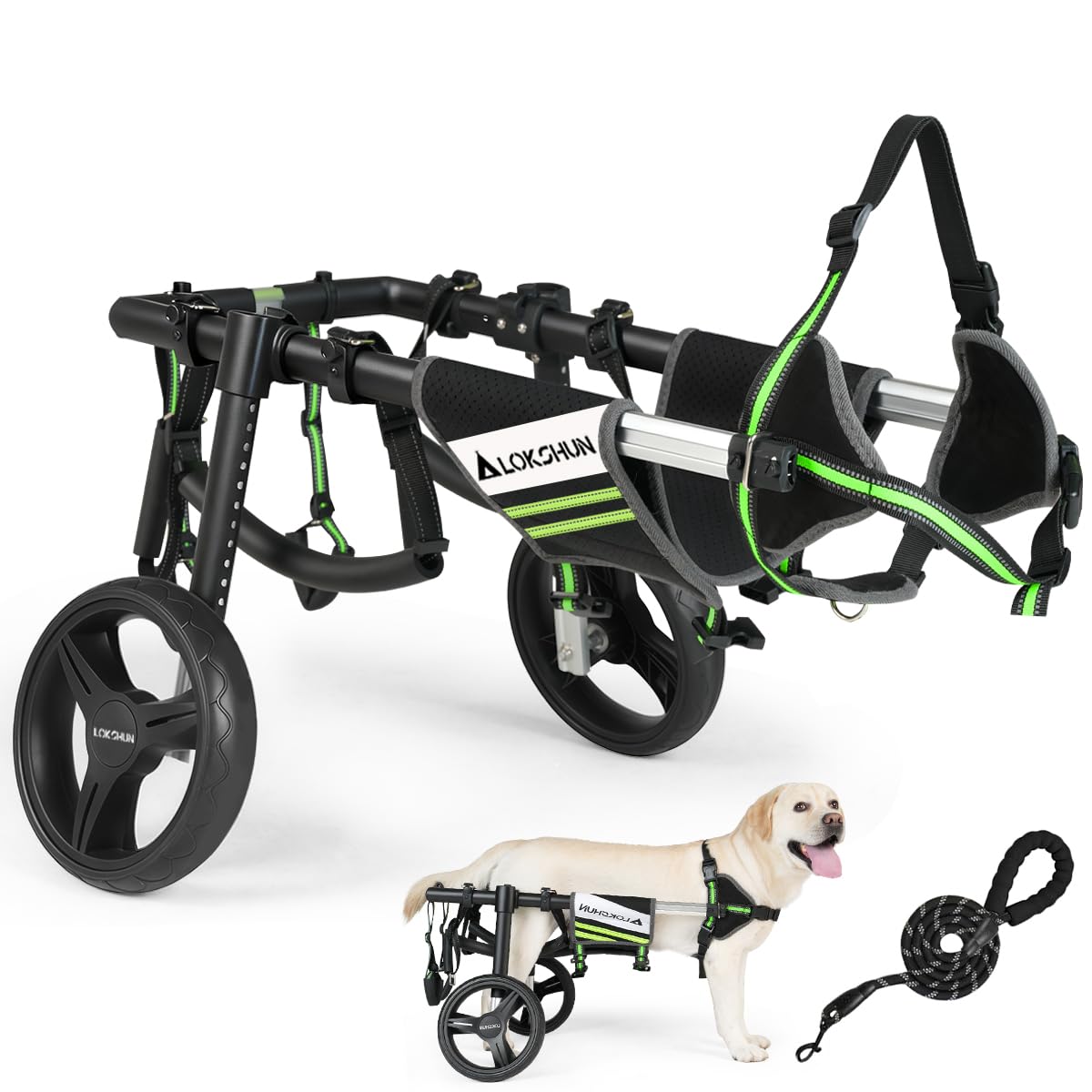 Lokshun soft foam leg rings cushion hind legs during movement