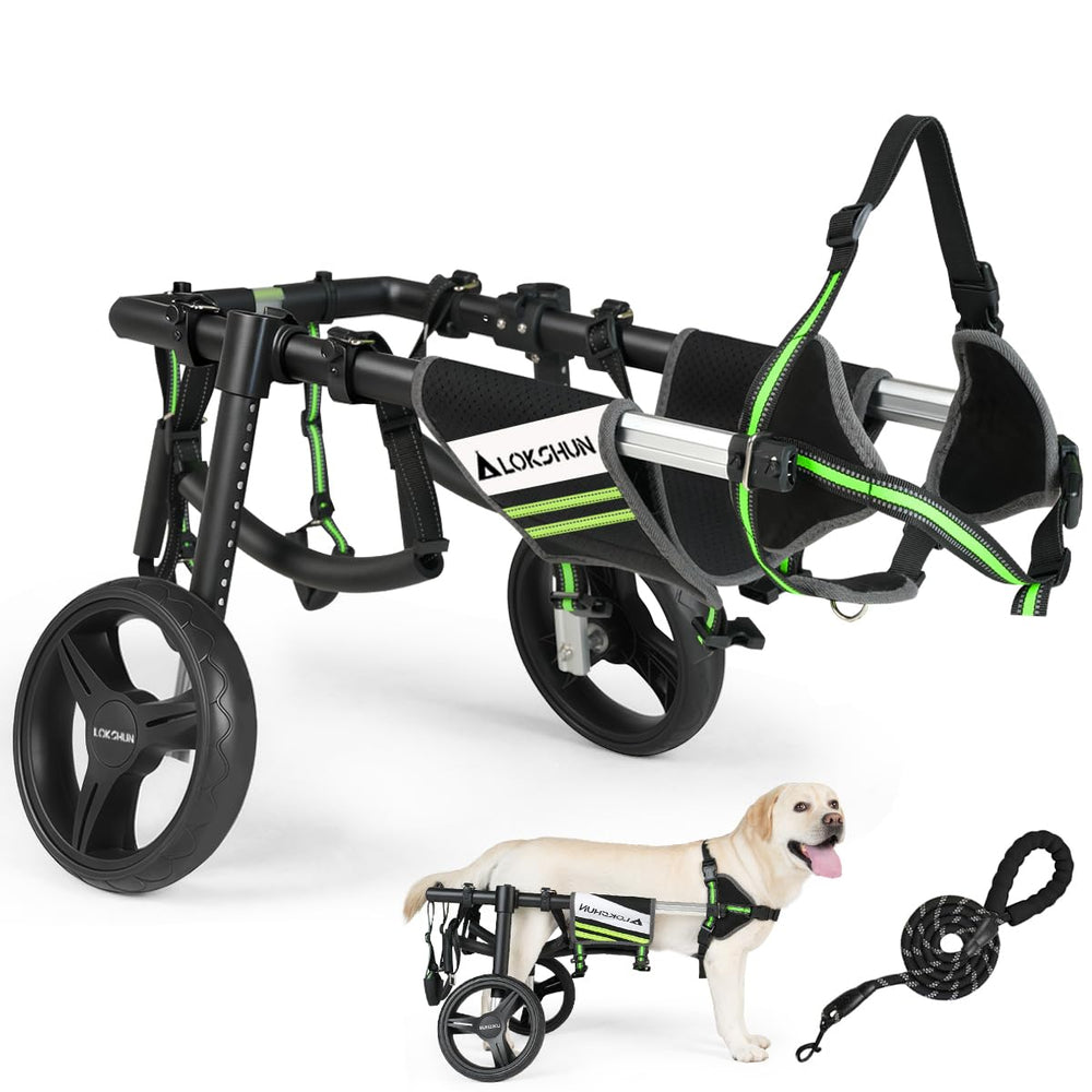 Lokshun soft foam leg rings cushion hind legs during movement