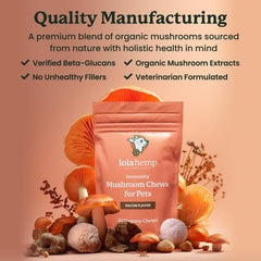 Lolahemp dog-cognitive-wellness close-up demonstrates brain-health ingredients for dogs.