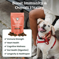 Lolahemp dog-mushroom-blend-closeup emphasizes organic mushrooms for immune system support.