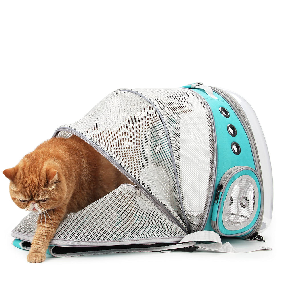 Lollimeow adventure-ready pocket for treats, bowls, or small gear