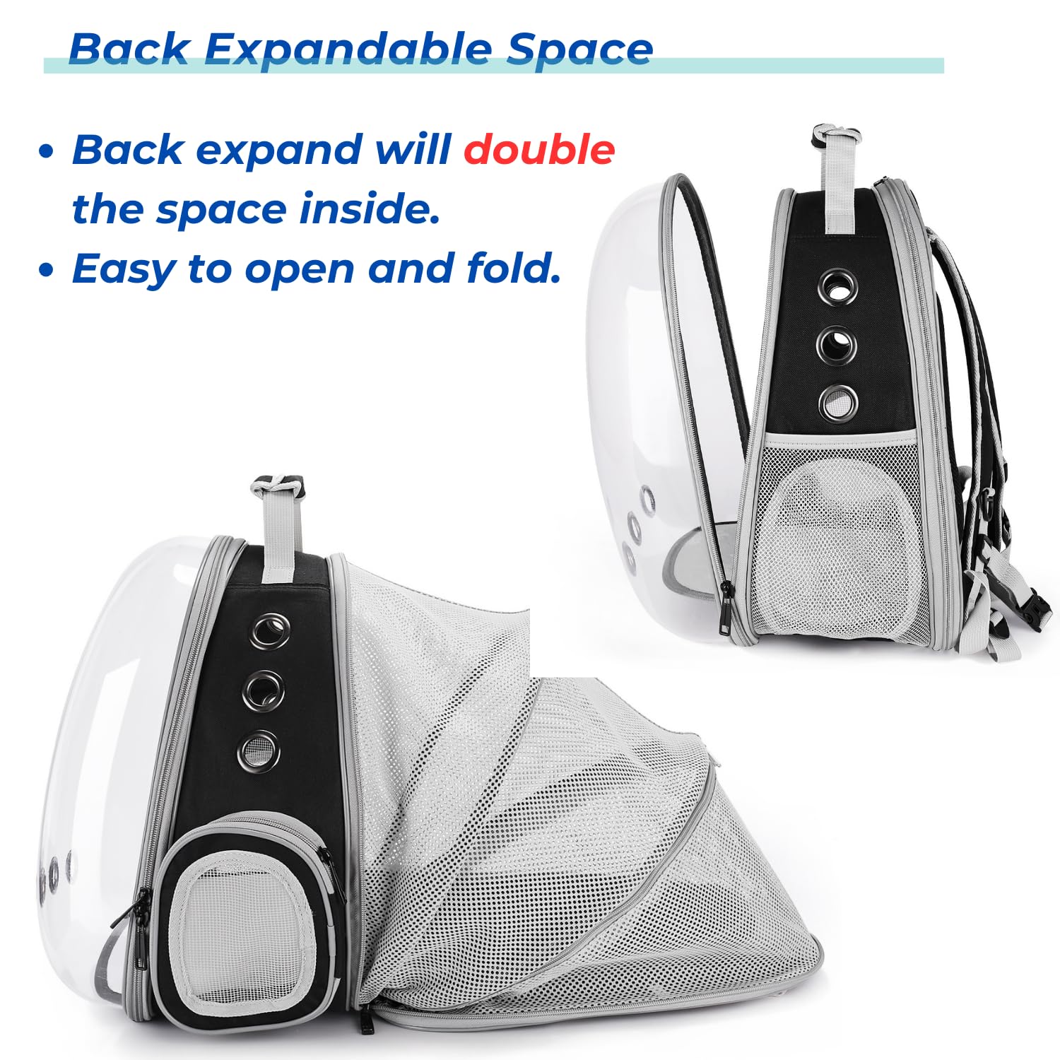 Lollimeow airline-approved travel backpack ready for flights and adventures