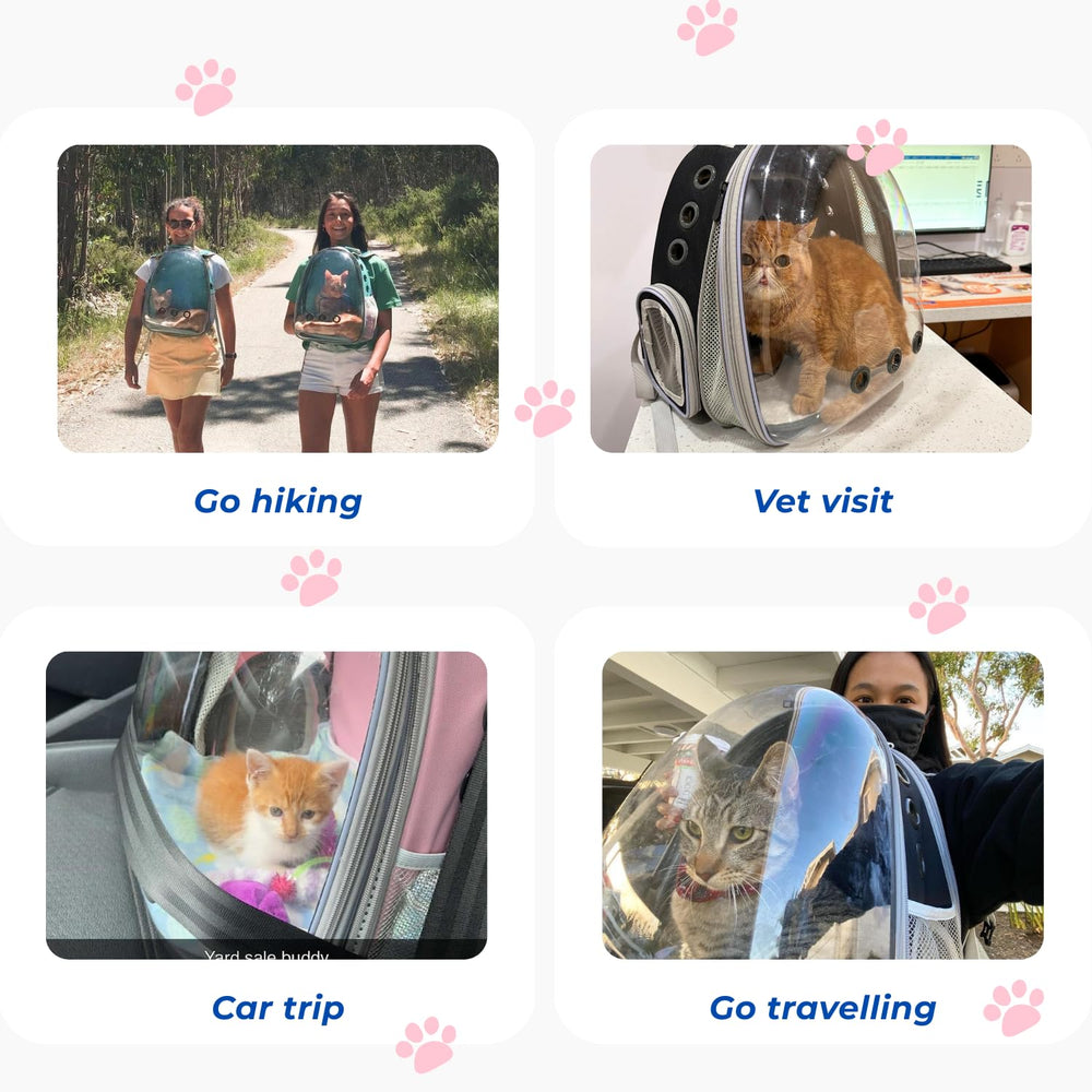 LOLLIMEOW airline-approved travel backpack eases vet visits and flights.