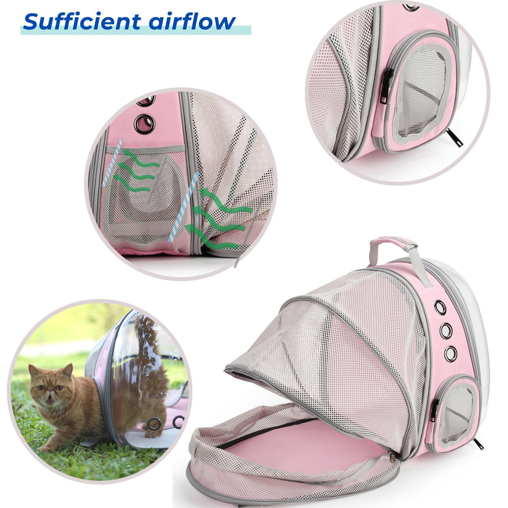 LOLLIMEOW airline-approved travel backpack ready for flights with small pets