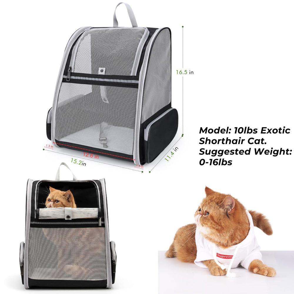 LOLLIMEOW cat backpack breathable mesh keeps pets cool during hikes.