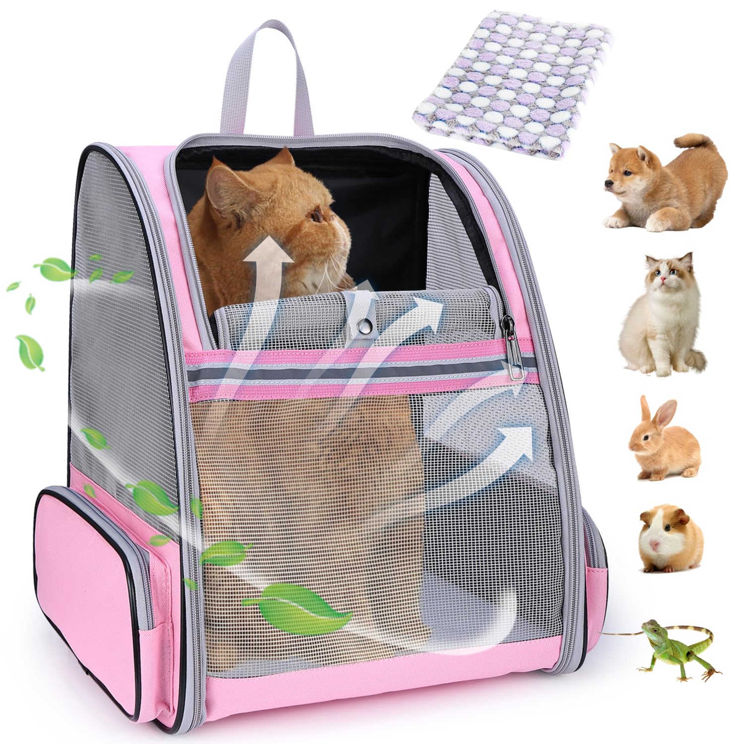 LOLLIMEOW cat backpack carrier with breathable mesh offers cool, visible travel for small pets.