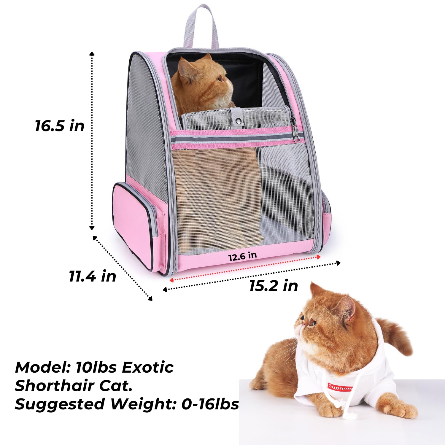 LOLLIMEOW cat backpack carrier dual cushions provide cozy support during trips.