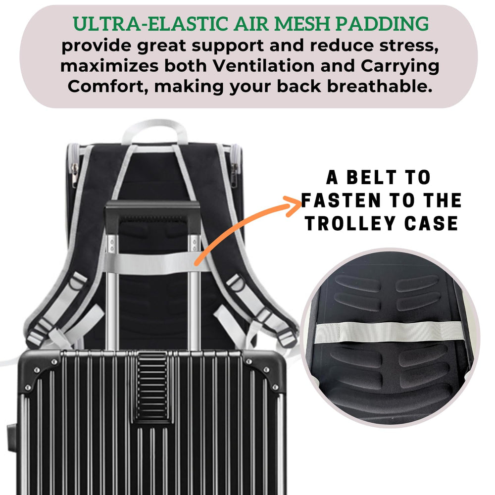 LOLLIMEOW cat backpack carrier foldable design makes storage easy during hikes and trips.