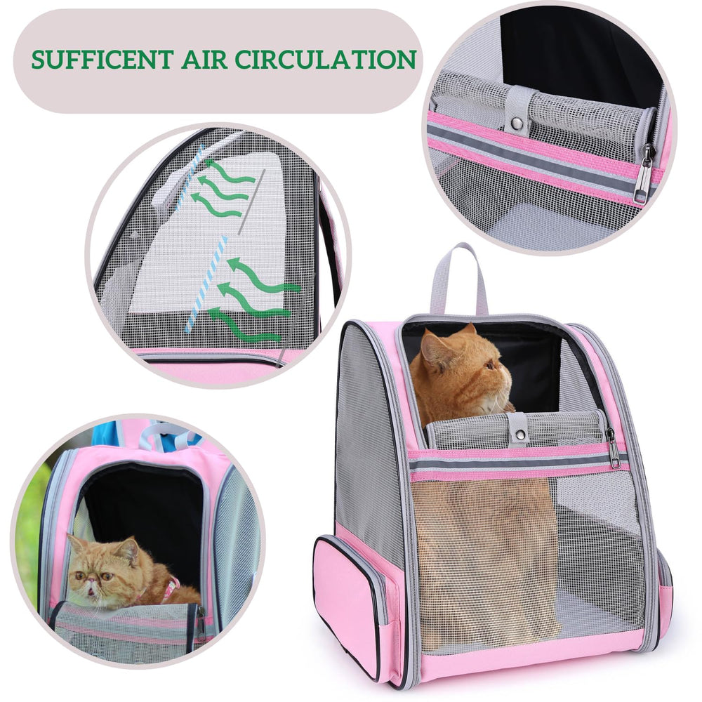 LOLLIMEOW cat backpack carrier safety features include padded straps and built-in leash clip.
