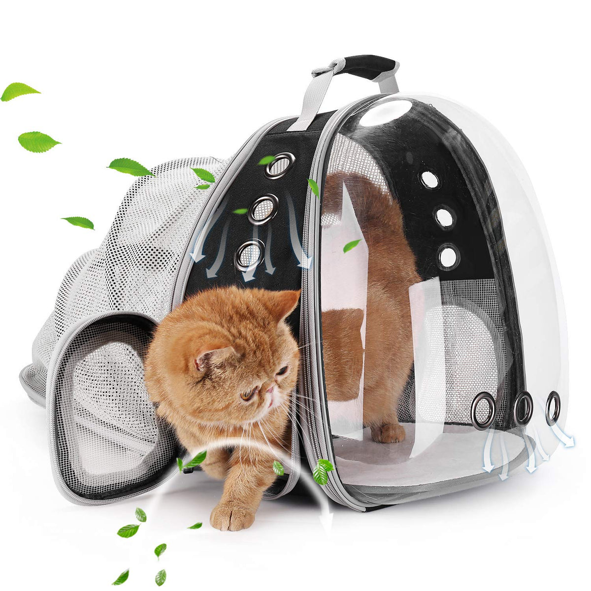 Lollimeow cat carrier backpack with bubble window for safe pet observation during travel