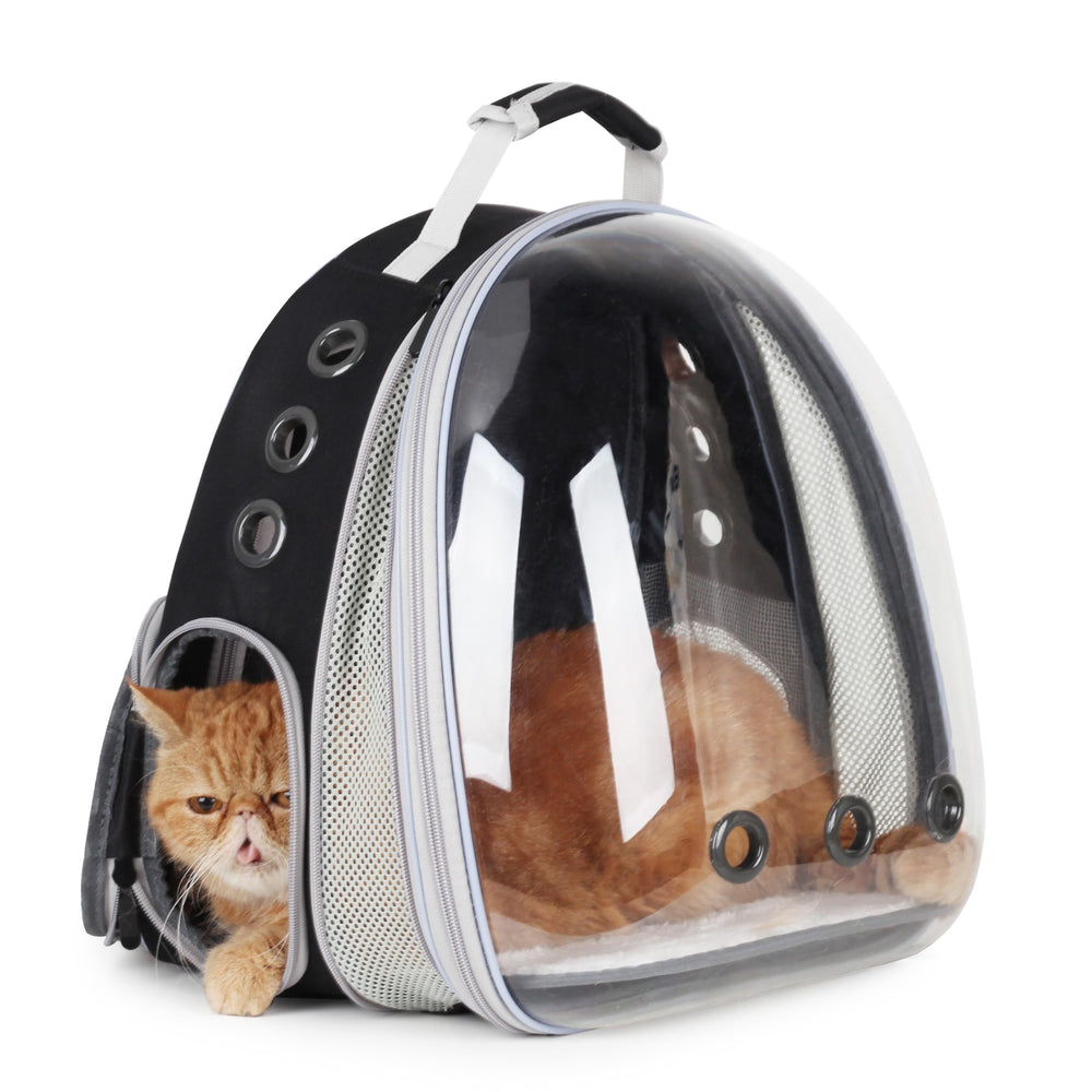 Lollimeow cat carrier backpack bubble-window view promotes calm, curious pet observation on walks.